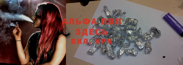 хмурый Зеленокумск