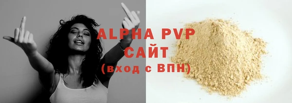 прущие грибы Зерноград