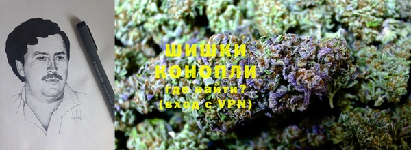 таблы Ельня