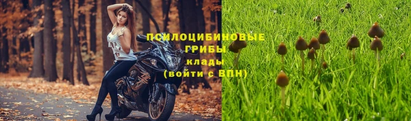 герыч Зеленодольск