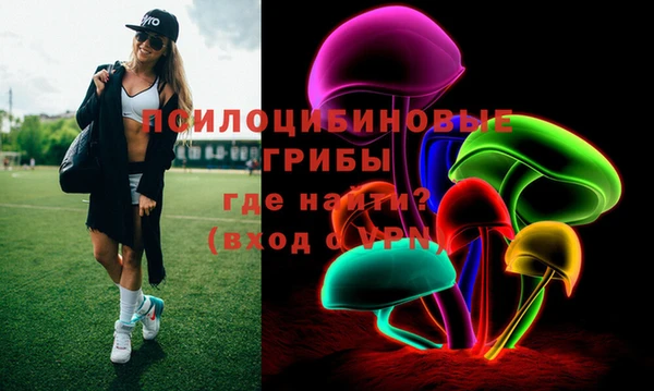 прущие грибы Зерноград