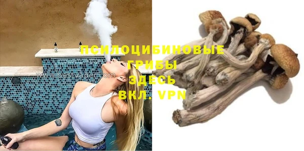хмурый Зеленокумск