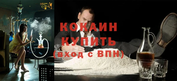 прущие грибы Зерноград